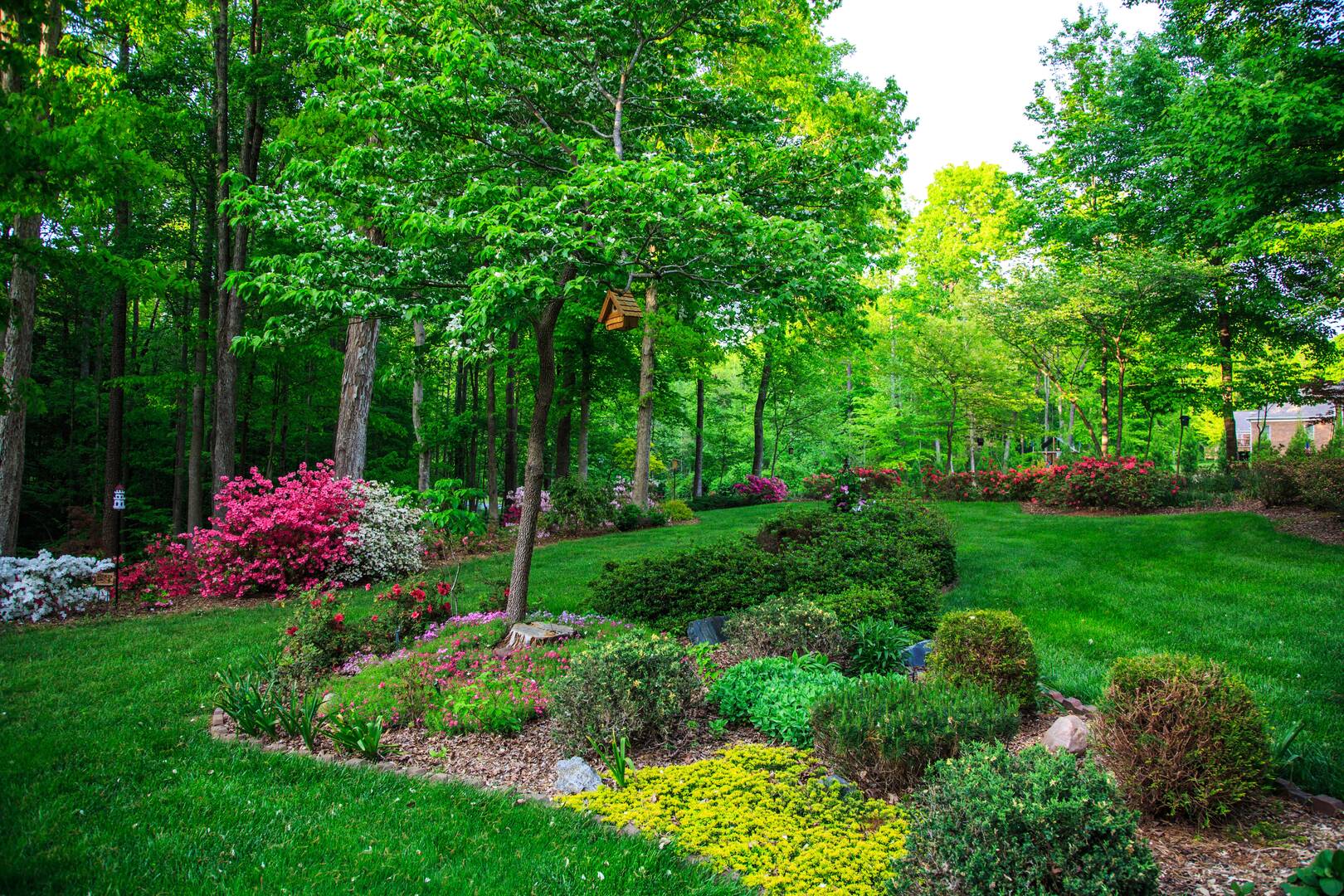 Pest Control Newport OR – pest control services