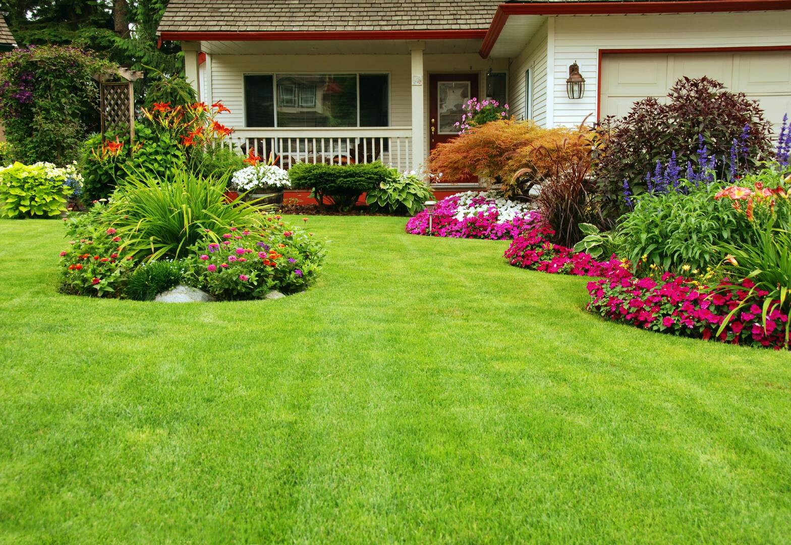 Tree Care St. Louis Mo