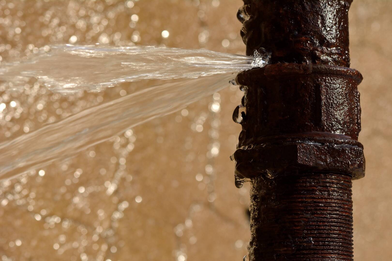 Local Gutter Cleaning Company Highland Park IL
